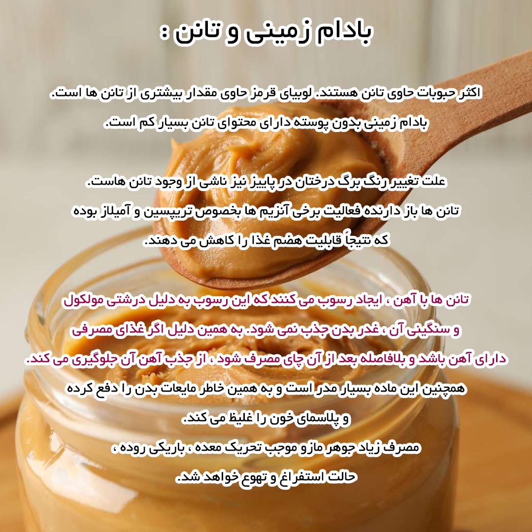 بادام زمینی و تانن