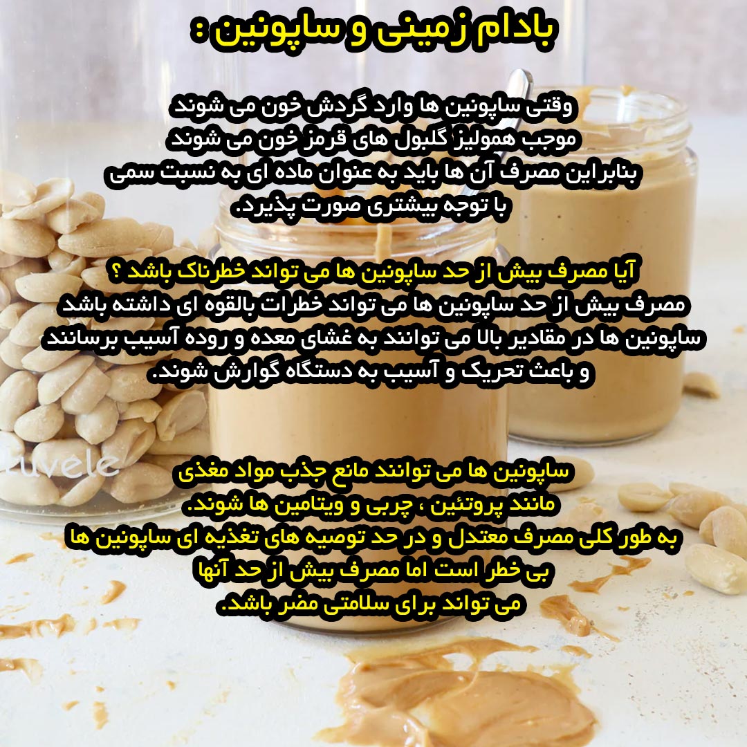 بادام زمینی و ساپونین