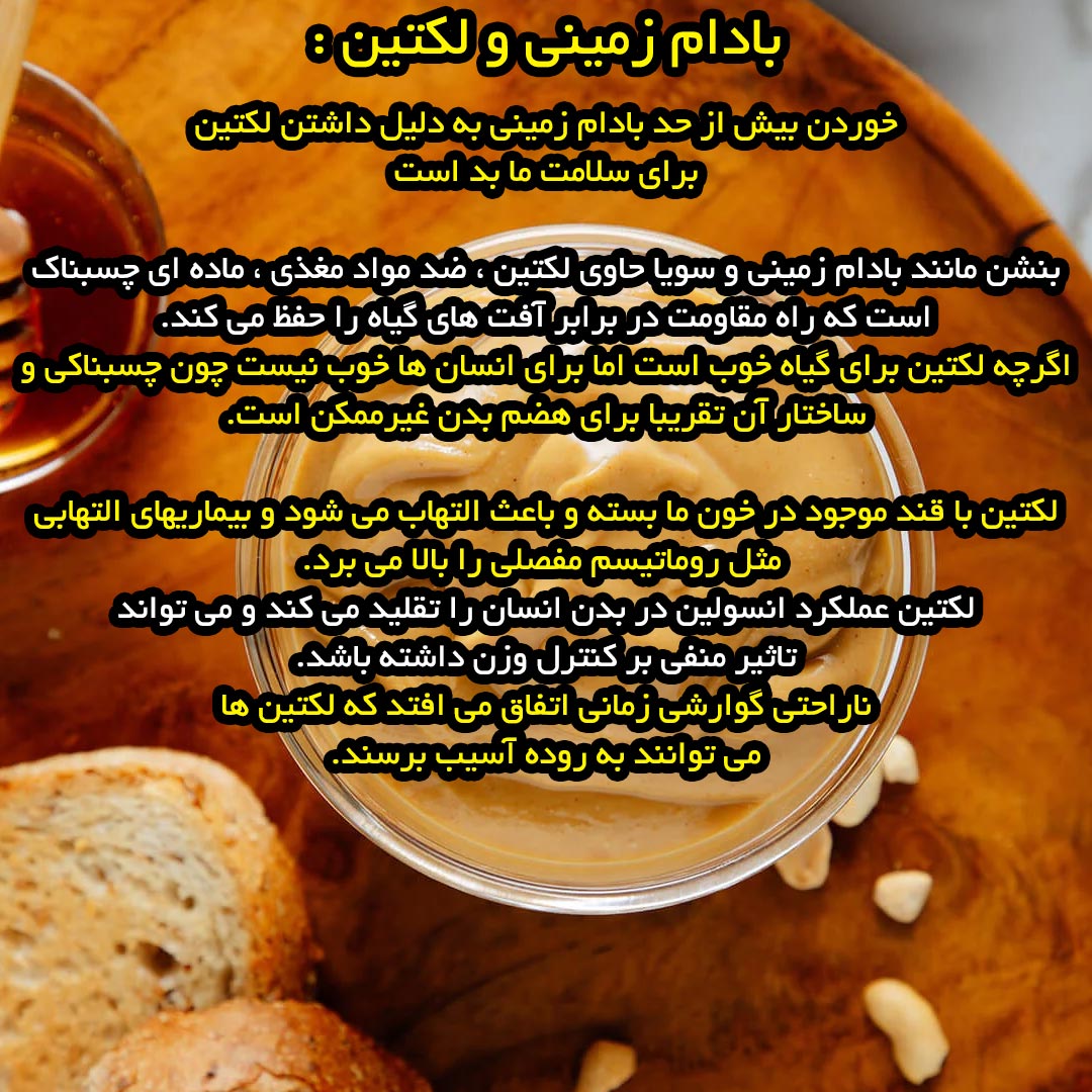 بادام زمینی و لکتین