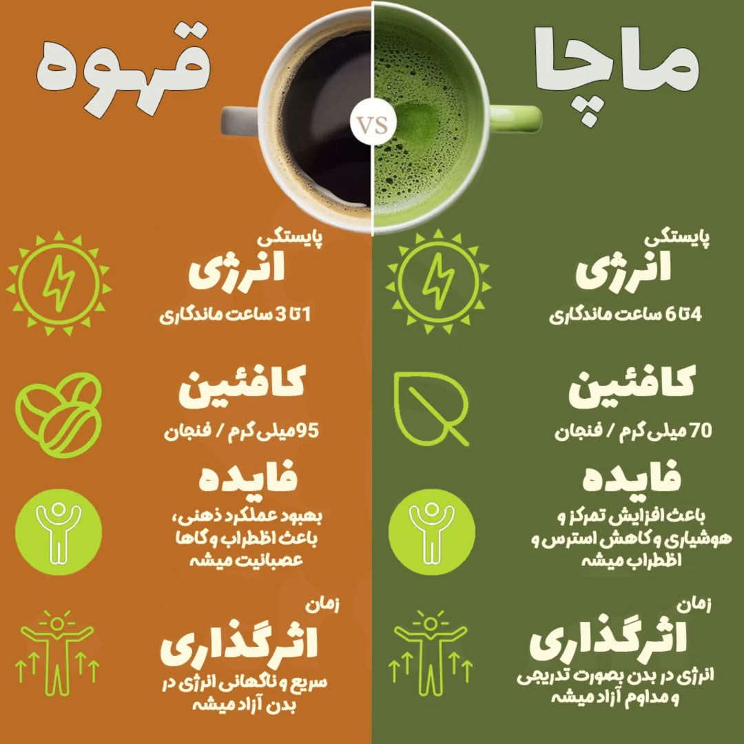 تفاوت ماچا و قهوه + فواید و میزان اثر گذاری