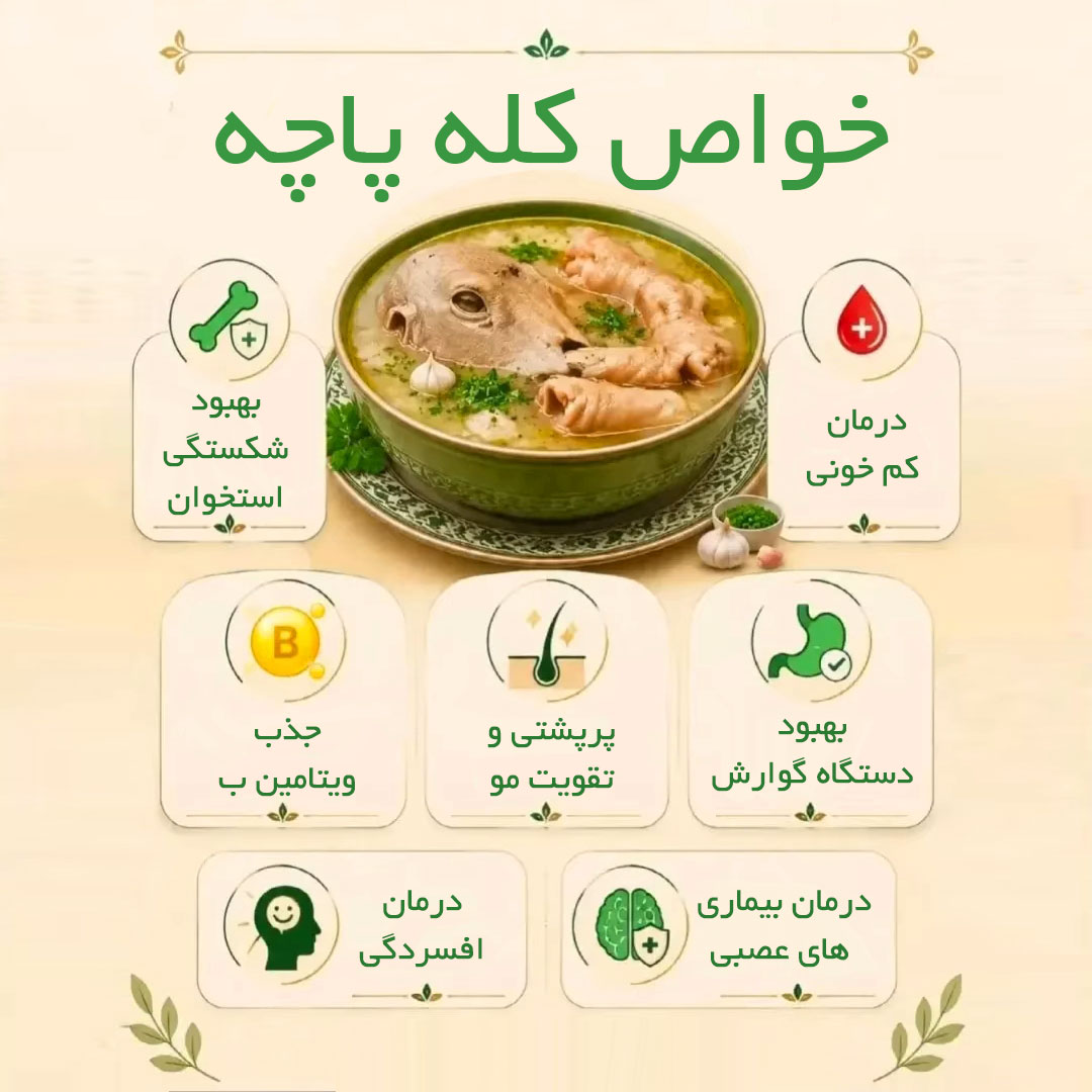 خواص خوردن سر و پا گوسفند + فواید کله پاچه