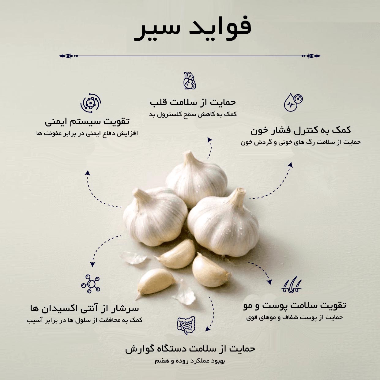 فواید سیر + شش مورد اصلی