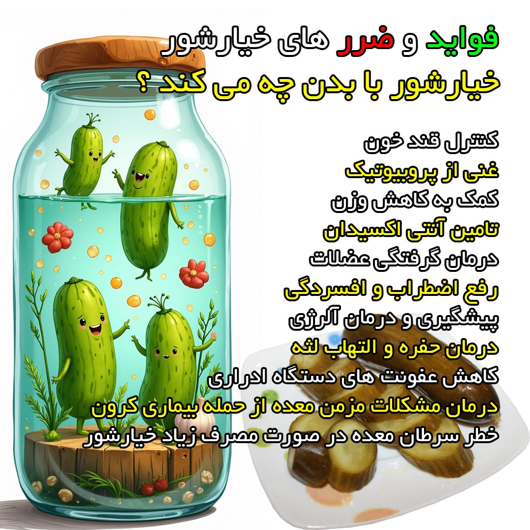 فواید و ضرر های خیارشور + خیارشور با بدن چه می کند ؟