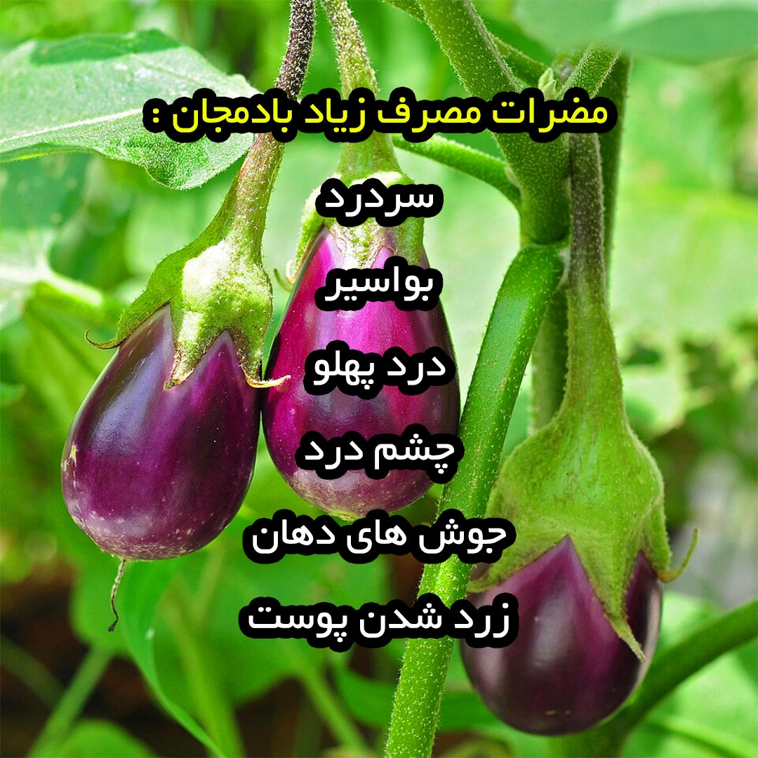 مضرات مصرف زیاد بادمجان چیست ؟