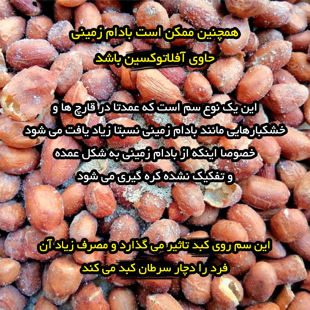 ممکن است بادام زمینی حاوی آفلاتوکسین باشد