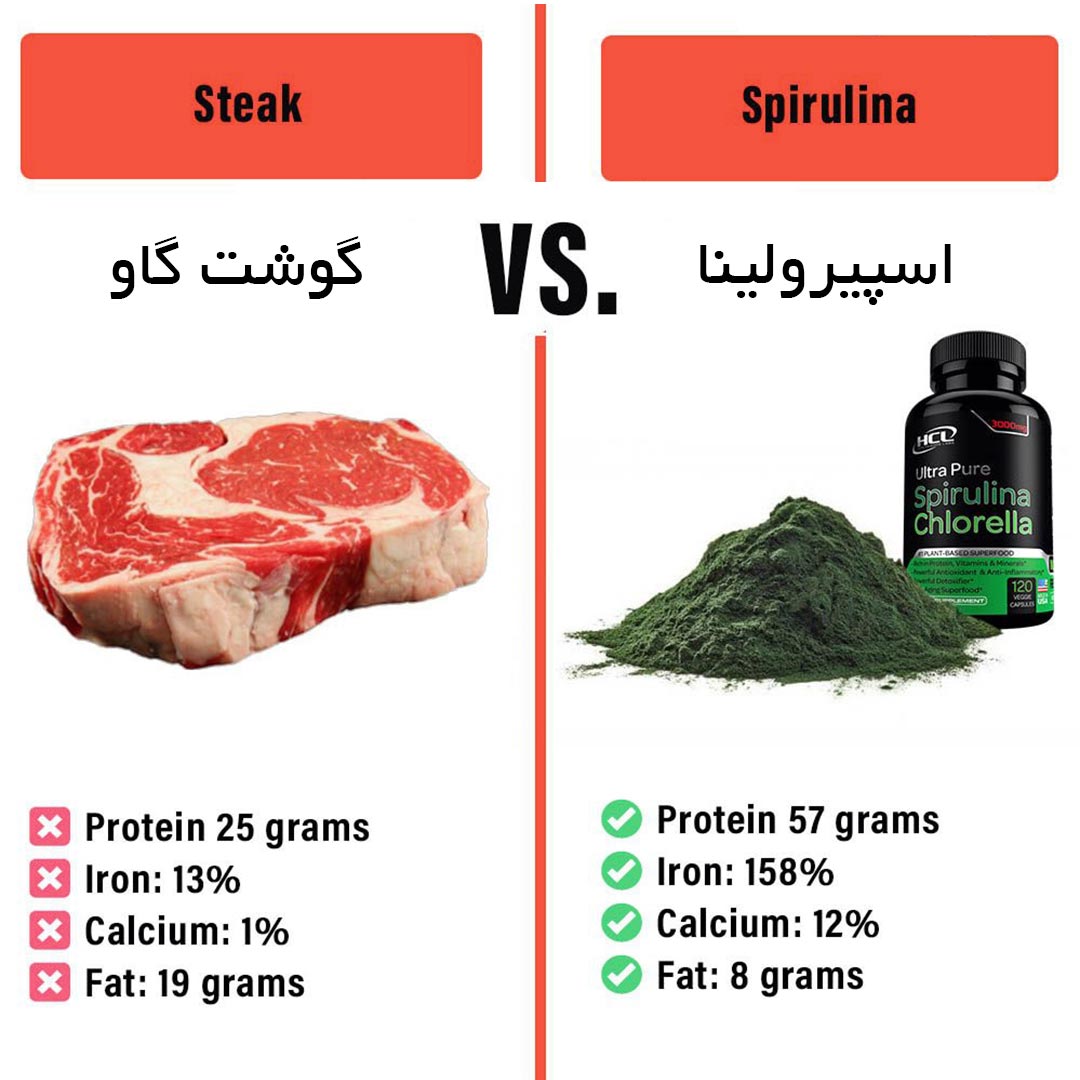 پروتئین گوشت گاو بیشتر است یا اسپیرولینا ؟